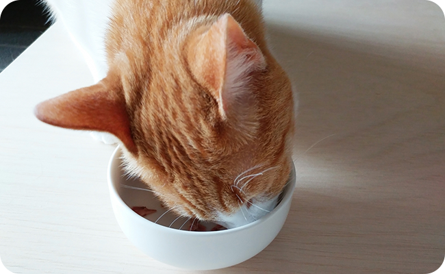人間が食べられる食材を使用している